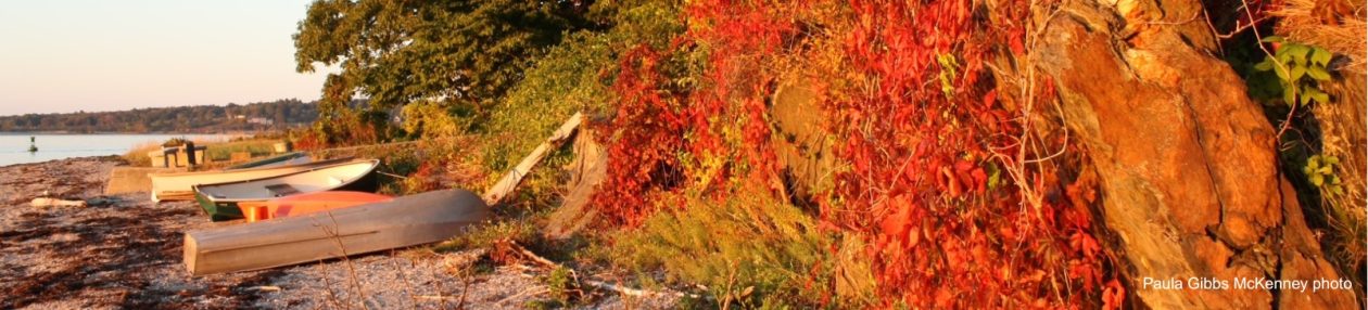 Town of Long Island Maine