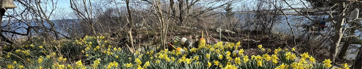 Town of Long Island Maine